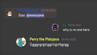 Everything you type in Discord goes on YouTube 2!