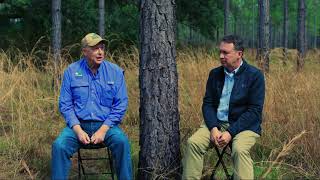 Florida Forestry: Helpful Tips from Natural Resource Experts