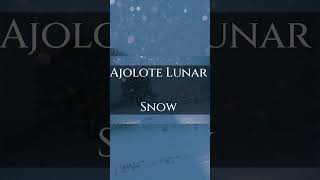 Snow  #ajolotes #lunar #music #art #piano #snow #cold #pianosolo #snowfall