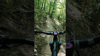 How could you forget about this drop?! #mountainbike #shortvideo #mtb #mtblife #shortsfeed #mtbjumps