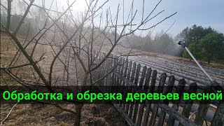 Обработка и обрезка деревьев весной