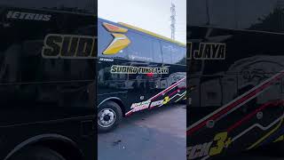 Bus Patas Sudiro Tungga Jaya Parkir di Bungurasih #cinematicbus #videobus