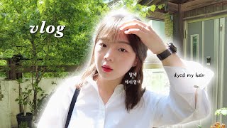 [Eng | VLOG] 셀프탈색+애쉬염색 | 직장인 아미 일상 | 올영세일 립 추천(포렌코즈, 롬앤) | 먹로그(폴바셋, 맥도날드 방탄세트)  해오니Haeoni