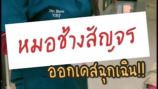 ออกเคสฉุกเฉิน ช้างถ่ายไม่ออก!! | หมอโบว์ หมอตัวเล็กกับคนไข้ตัวใหญ่