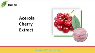 Acerola Cherry Extract Powder Function,Price,Supplier,Manufacturer from Bolise