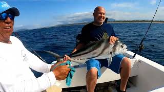 TEMPORADA DE GALLOS EN ZIHUATANEJO 🐟