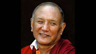 #Orgyen #Tobgyal #Rinpoche said history of (Neng Thik Ya She) ༈སྙིང་ཐིག་ཡ་བཞིའི་ལོ་རྒྱུས་སྐོར་གསུངས།