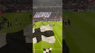 Newcastle United 1 - 1 Everton | St James’ Park | Premier League