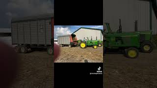 #cattlefarming #farmlife chopping corn