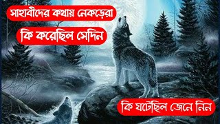 নবিজির এক সাহাবীর কথায় একটি নেকরে যা করল||Hazrat Muhammad sw mojija||PankouriNews||Bangla||