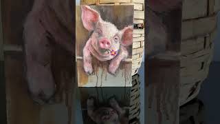 #art #shortvideo #painting #arttutorial #artclass #animalportrait #farmanimals #pig#allaprima#shorts