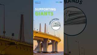 The Backbone of Modern Engineering | Supporting giants | LRPC | Tata Wiron