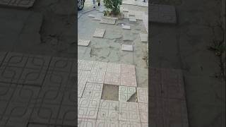 الأرصفة الذكية في الجزائر  Smart Sidewalks