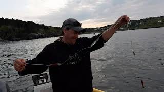 Squid Jigging in Newfoundland with Totally Outdoors NL