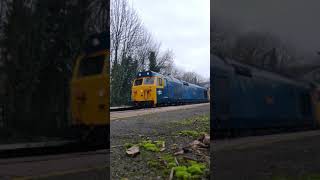 Class 50's at Old Hill