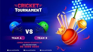 World Cricket gameplay, Tournament India vs Pakistan