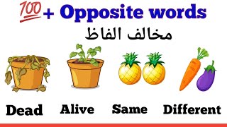 💯+ Opposite words in English | Opposite word with picture |English opposite words | English Practice