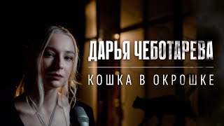 Дарья Чеботарева - Кошка в окрошке (Веня Дркин) Кавер 2023