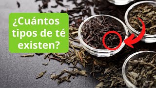 Cuántos tipos de té existen | Conoce cuantos tipos de té existen y cada una de sus categorías