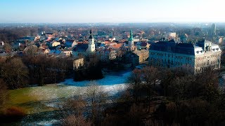 Kilka ujęć parku pszczyńskiego w styczniowe południe