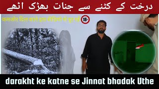 Darakht Ke katne se jinnat bhadak uthe | Episode 169 | Kuch To hai wahan  @shabivlog0