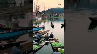 Most Beautiful Floating Market in India | Kashmir