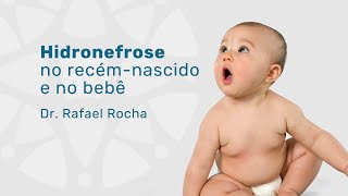 Hidronefrose: Saiba Sobre a Condição Que Afeta Bebês e Crianças