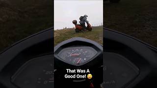 Wet Grass + Scooter = Almost Disaster. 😂 | Honda SCV100 | Adventure Ride | New Zealand