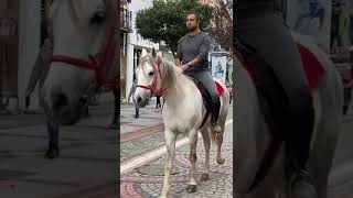 Edirne'de Bir Yurttaş Atı ile Gezmesi  İlgi Odağı Oldu