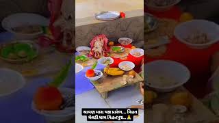 શ્રાવણ માસ યજ્ઞ પ્રારંભ | VIHATDHAM VISATPURA