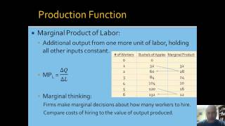 NEIU ECON Lecture Series 23 (Part 2): Production Function