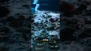 Deadly ice Column #shorts #viral