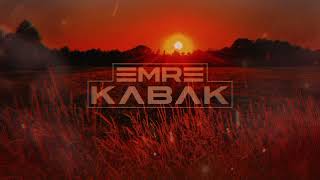 Animal Picnic & 1926 - XX (Emre Kabak Edit ) #soulseries