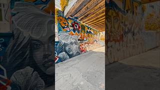 Graffiti Alley: A Popular Backdrop for Photoshoots and Iconic Street Art  #torontocanada #shorts