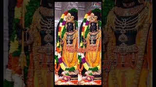 Ayodhya Ramlala Murti😍♥️🙏🏻| Jay Shree Ram🙏🏻🚩| Do Like, Share And Subscribe...🍂 #youtubeshorts