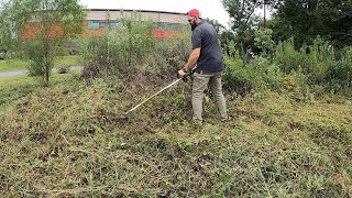 FREE clean up of OVERGROWN exit at SCHOOL that HIRES us for yard CLEAN UP and landscape MAKEOVER.