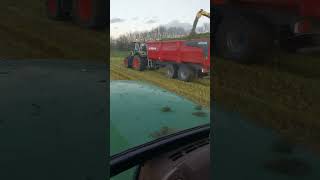 Top départ d'ensilage de ray-grass 2024 en Charente maritime. Avec une ensileuse John Deere 8400🟡🟢🌱