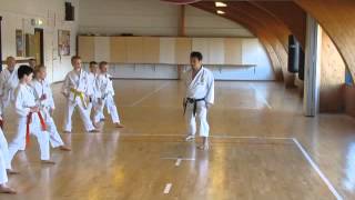 Yamaguchi-sensei demonstrating maegeri for a childrens class