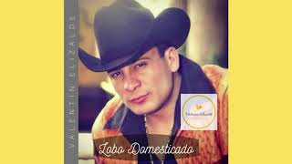 Valentín Elizalde - Lobo Domesticado (Éxitos)