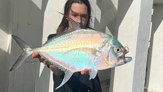 Noosa River Cale Cale - Dream fish while fishing for trevally.