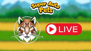 Super Auto Pets First Ever Live Stream