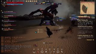 PL-Hussars vs Nouver, Black Desert Online, BDO, PS4, PL