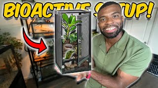 BUILDING a BIOACTIVE Terrarium WITHOUT ISOPODS!!!