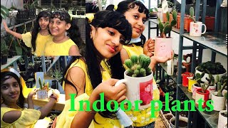 IndoorPlants #plants#indoorplants &outdoorplants#visit a home