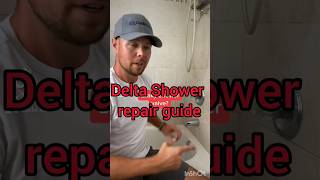 Delta shower cartridge replacement #shorts #trending #india #homerepair