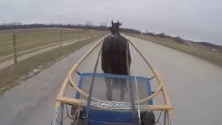 1 27 16 Two Year Old Training Part 2 GoPro