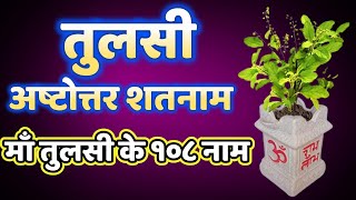 तुलसी अष्टोत्तर शतनाम, माँ तुलसी के १०८ नाम, Tulsi Ashtottara Shatanamavali, Ma Tulsi Ke 108 Naam