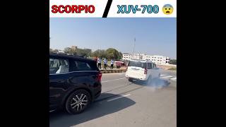 Scorpio S11 Vs XUV 7OO / Tug of war 😯 #shorts