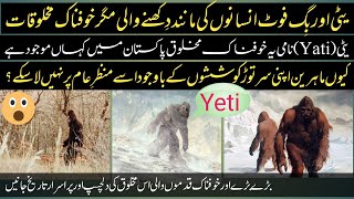 Bigfoot /  Yeti animal / mysterious animals in pakistan