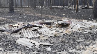 LIVE from the Emerald Summer Camp in Chornobyl after the fire - "Изумрудный" после пожара